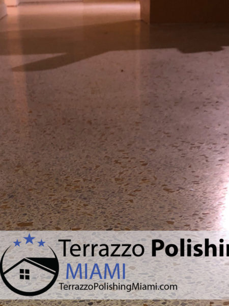 Terrazzo Care Restoration Service Miami