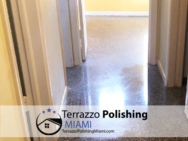 Terrazzo Floor Repair & Restore