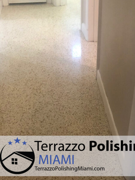 Terrazzo Care Installers